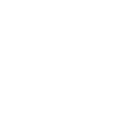 Icon Toleranzen